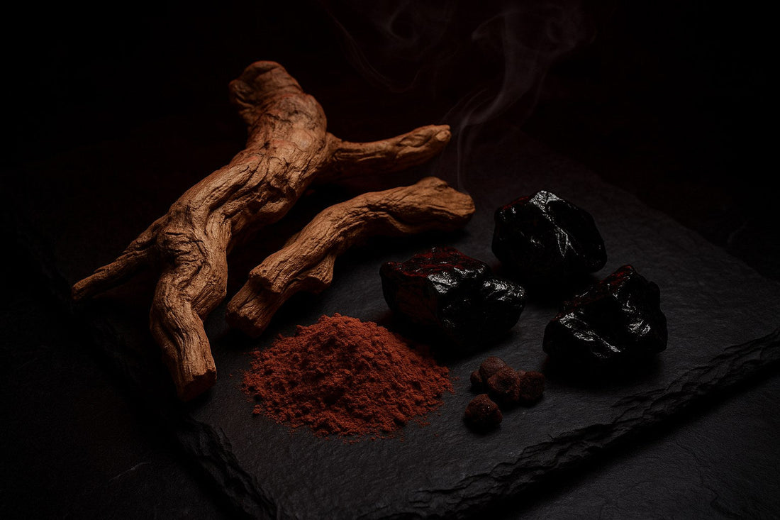 Adaptogens and organ ingredients arranged together — the foundation stack for men over 40