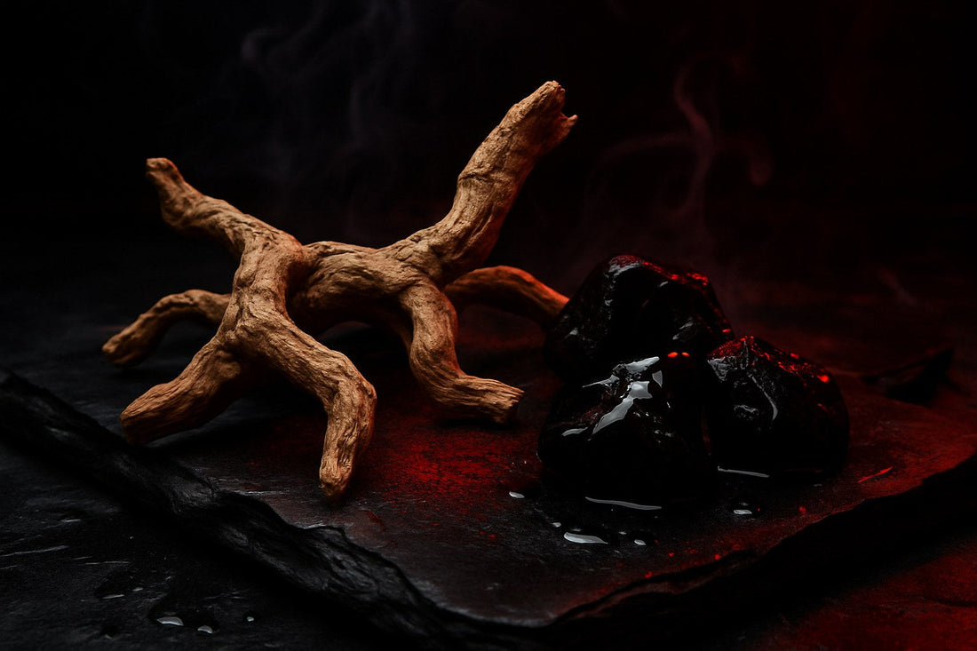 Tongkat ali root and shilajit resin together — the adaptogen stack