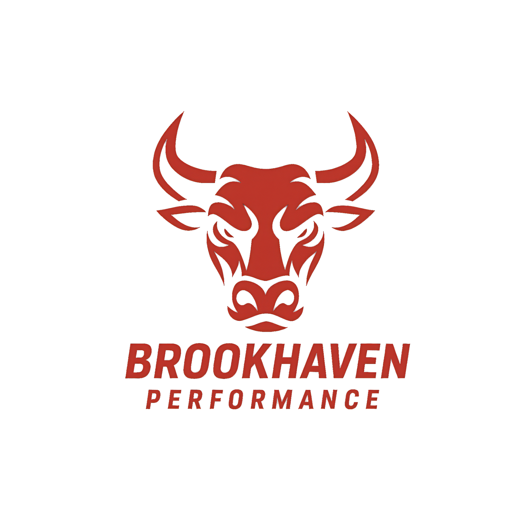 Brookhaven primary lockup